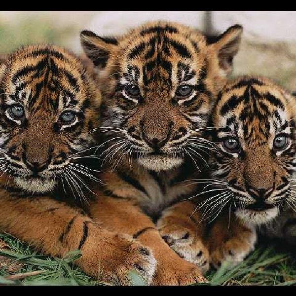 hawhite2000's profile picture. 