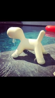 Sometimes I have to take a step back and realize I put my happiness in the hands of 4 people who at one time collectively cared for a plastic dog