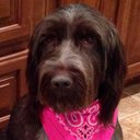 Shannon Deaton - @shdeaton - Twitter