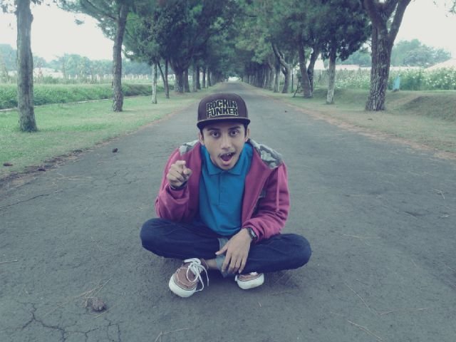 musisi, vokalist,