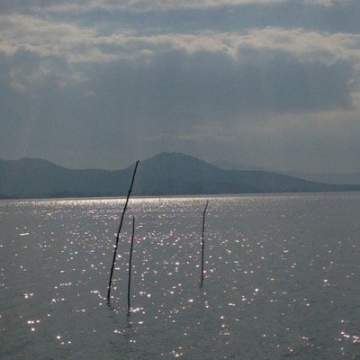 slow life trasimeno Profile