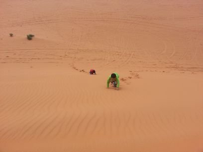 MIlyasMughal's profile picture. ICT Engineer