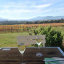 Eileen Delaney - @EileenEileenpd - Twitter