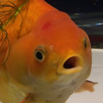 そうだ、海へ行こう