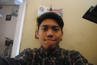 ika wardani
