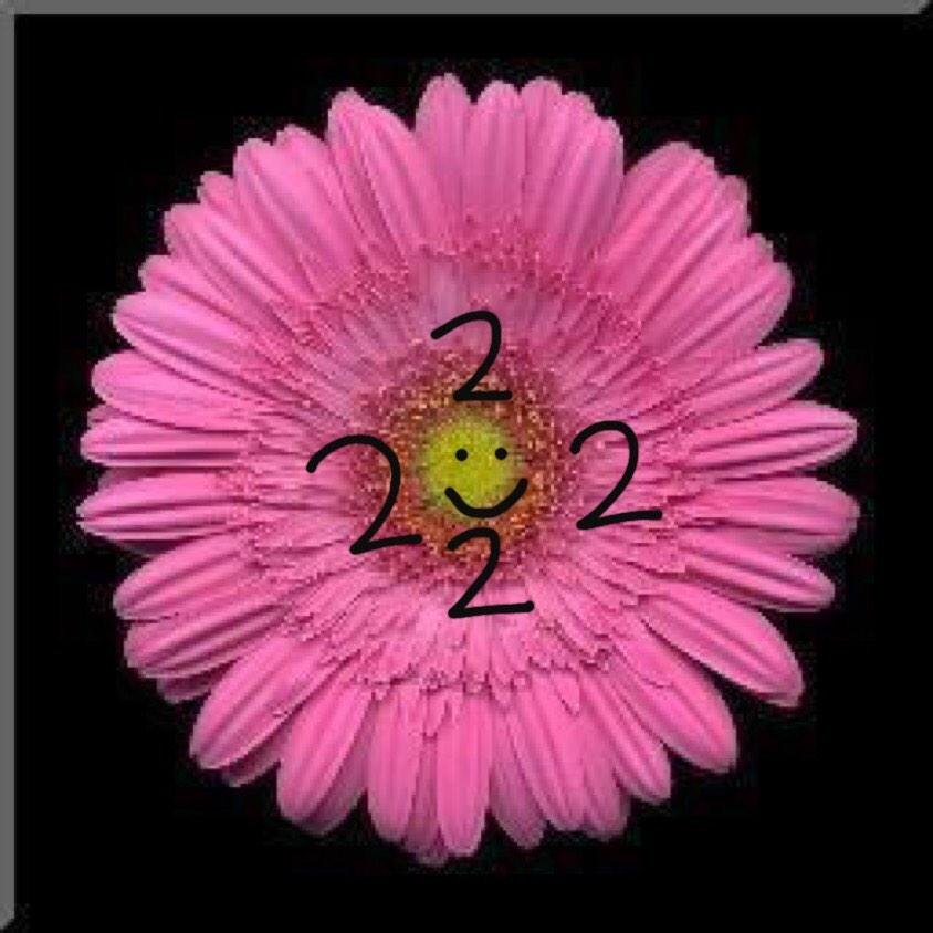 NotMeDee's profile picture. 