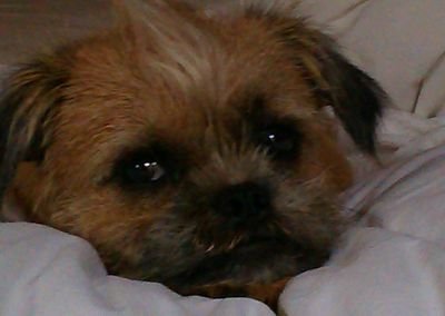 cfac7c9d86ce4c8's profile picture. 