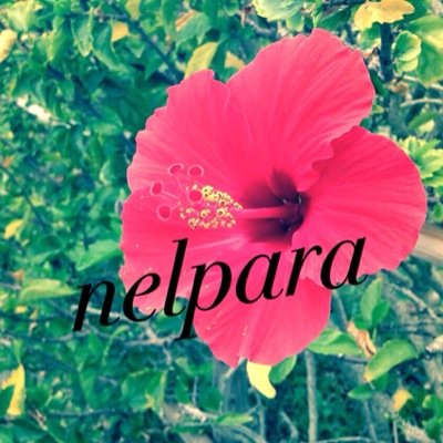ネイルスタジオネルパラmrmax町田店 Nelparamachida Twitter ネイルスタジオネルパラmrmax町田店 Nelparamachida Twitter