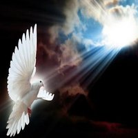 fahal (@hhassan3444) Twitter profile photo