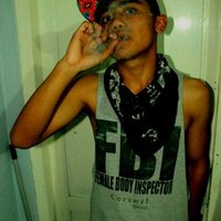 Bird_roll (@surbeksurya) 's Twitter Profile