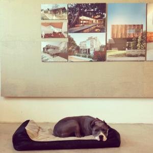 An award-winning LA architecture firm serving both residential and commercial clientele.