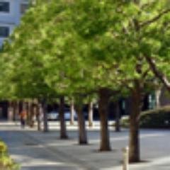 Associated Arborists is a quality vegetation management company that has been providing superior tree care services,