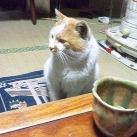 にしもさんのプロフィール画像