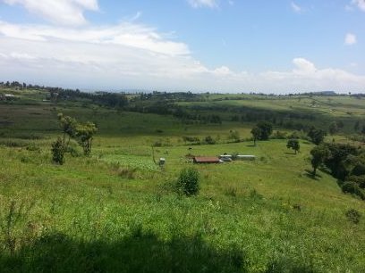 EnkoDairy's profile picture. Dairy farmer, Patriotic Kenyan