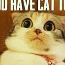 rumelighuni's profile picture. 