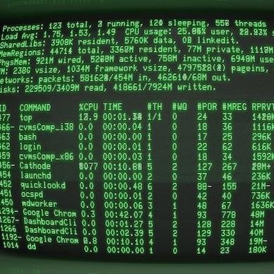 iamnotdevloper's profile picture. 