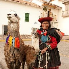 Something for everyoneAlpaca clothing/yarn/batting--Variey Fabric/Yarn-craft-- Leather goods -St Silver jewelry- and MORE