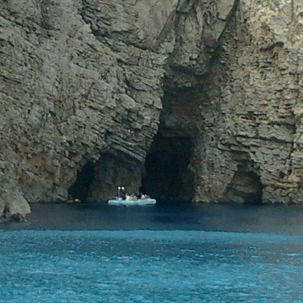 Ambientòloga i mare. De Torroella de Montgrí i (ara) també de Bordils.