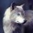 escadolre1971's profile image