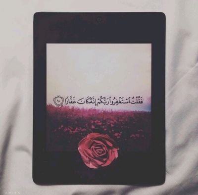 ‏لا يصل الإنسان إلى حديقة النجاح من دون أن يمر بمحطات التعب والفشل واليأس وصاحب الإرادة القوية لا ييأس ولو أطال الوقوف عند هذه المحطات. 