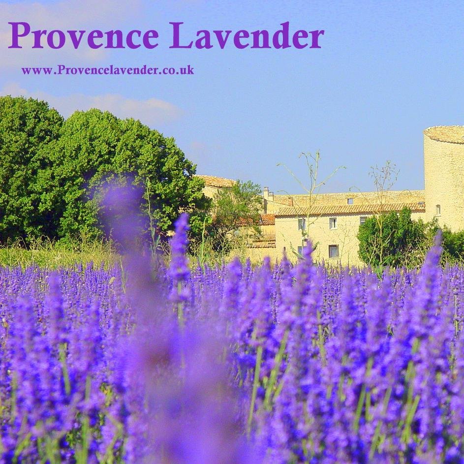 Importers of multi award winning  pure organic lavender from Chateau de la gabelle in Provence