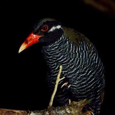 goodmorningtime's profile picture. 人生のほとんどが北海道でできている静岡県民。テレビ局で番組を作る仕事をしています。基本的には自由に生きています！てきとーにフォローしてください。