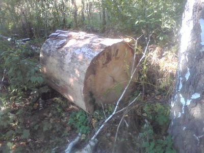 dary_73's profile picture. 