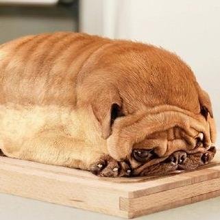 Bread_Heads's profile picture. Hiya we are a YouTube channel that like to make you laugh :D