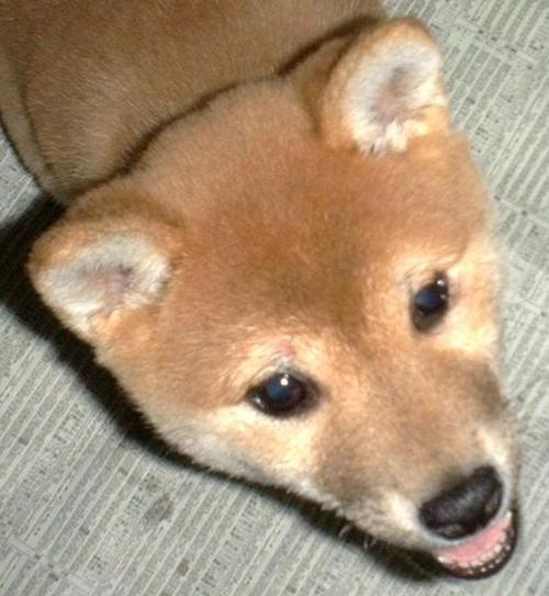 kyokofj's profile picture. きょうこさまとお呼び