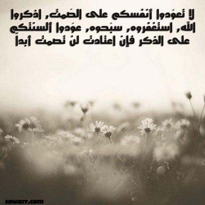 هذا الحساب مُعَد في ثواب ( جدي ) ومحمد الصبحي نسال الله لهم الرحمه والمغفره ❤️