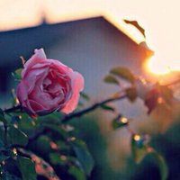 لاجلك لمى الحمّادي (@lajllk_lama) Twitter profile photo