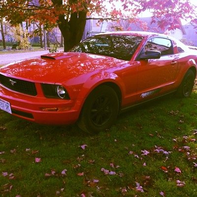 Jack_vanDoorn's profile picture. 