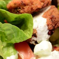 Belfalafel (@belfalafel) 's Twitter Profile Photo Belfalafel (@belfalafel) 's Twitter Profile Photo