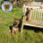 OzzyAndLayla's profile image