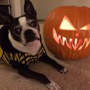 Ali Jordan - @AliJordan08 - Twitter