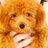 ____129315's profile image