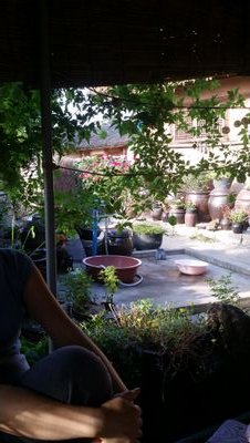 alfm2222's profile picture. 