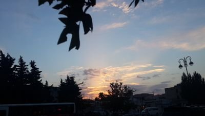 fidanbeylerova's profile picture. 