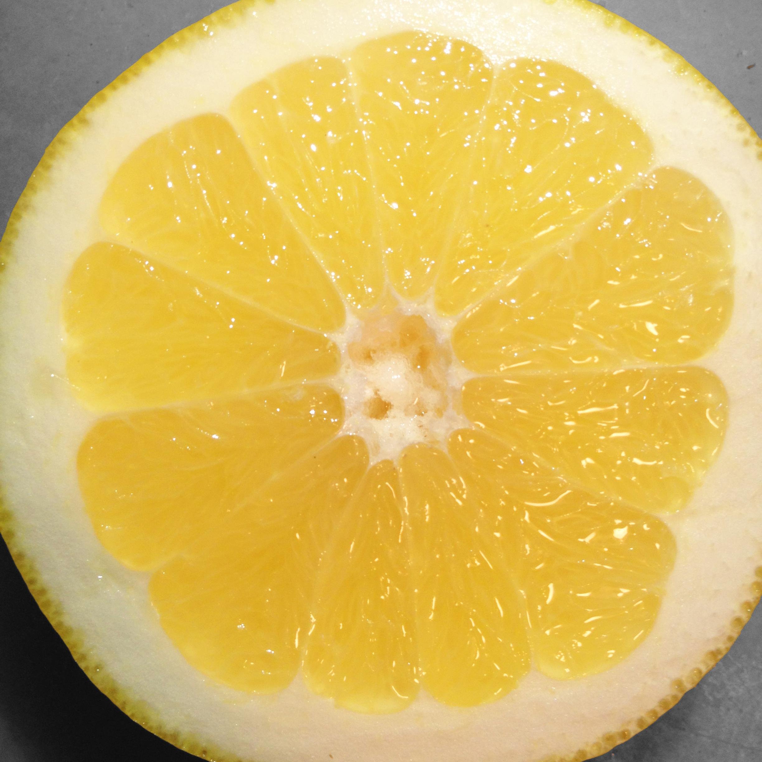 Comprarpomelos's profile picture. Te mandamos nuestros pomelos en su mejor momento de maduración. Fresh Grapefruits direct to your home