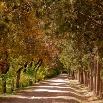 Informar de la actividad de Aranjuez... o lo que nos dejen...