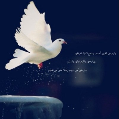 هذا الحساب صدقه جاريه لـ لولوه البداح رحمها الله