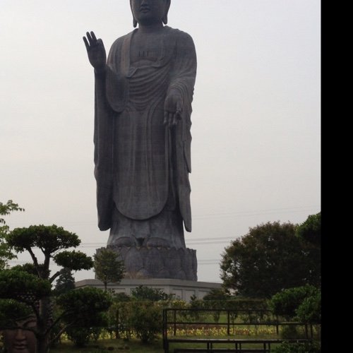 数学 音楽