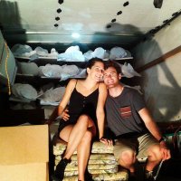 malinda swain (@malindaswain) Twitter profile photo