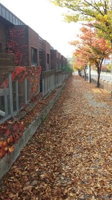 max4lee's profile picture. 