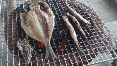 証券会社勤務   
兵隊です。

人生思い通りにならないことばかり
