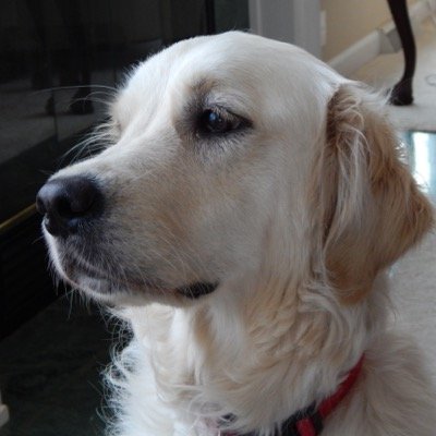 EalkerAnne's profile picture. 