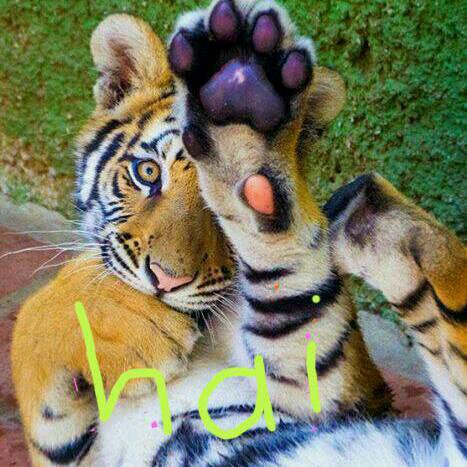 SamKamela's profile picture. Pray,pray,pray & pray nvr gt tired of praying even if u hv everything in de world