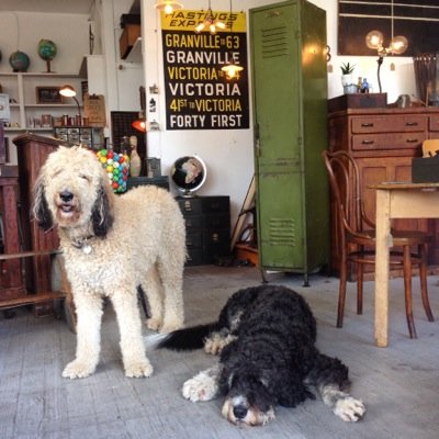 a design inspired collection of artifacts, antiques, and vintage finds 706 Victoria Drive Vancouver, BC * open wed to sun *
