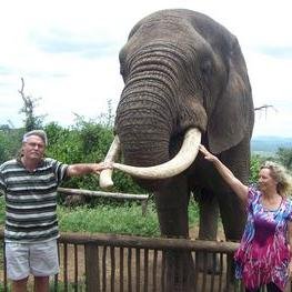 Touching wild animals in a controlled environment.