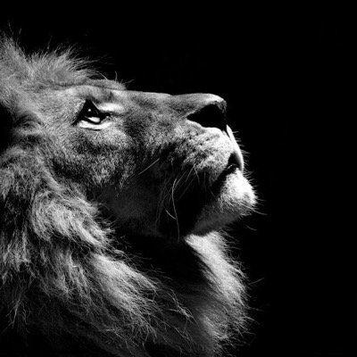 eNOOB3Y's profile picture. 